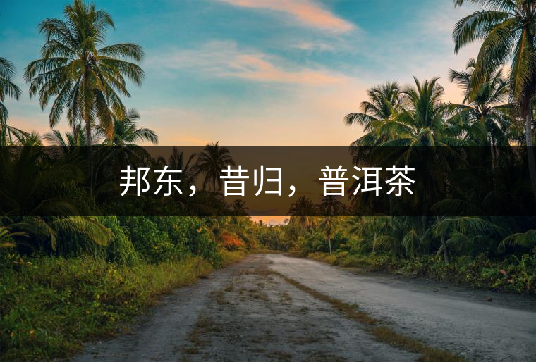 邦東，昔歸，普洱茶