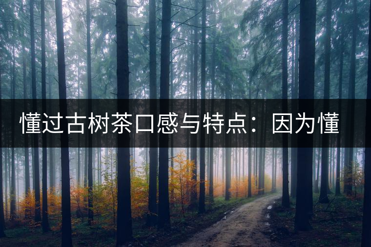 懂過(guò)古樹(shù)茶口感與特點(diǎn)：因?yàn)槎?，所以舍得用余生?lái)珍惜！