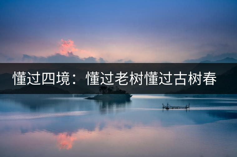 懂過四境:懂過老樹懂過古樹春秋和磨烈古樹茶 懂過四境:懂過老樹懂過古樹春秋和磨烈古樹茶