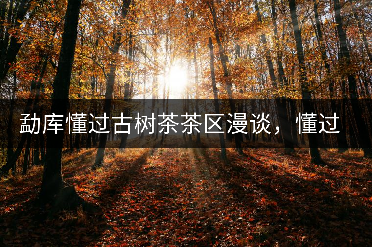 勐庫(kù)懂過古樹茶茶區(qū)漫談，懂過古樹茶的特點(diǎn)