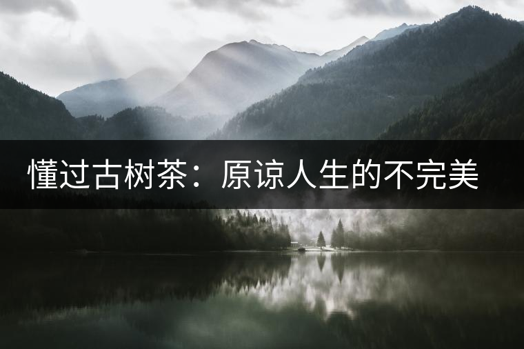 懂過古樹茶：原諒人生的不完美，多一次心靈的回歸！