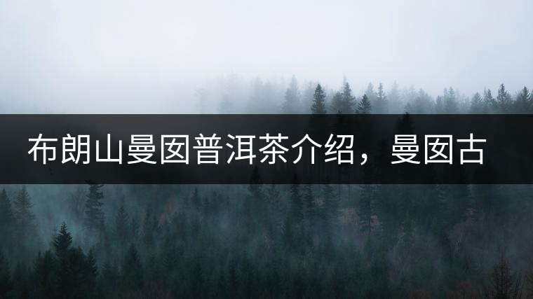 布朗山曼囡普洱茶介紹，曼囡古樹茶口感特點