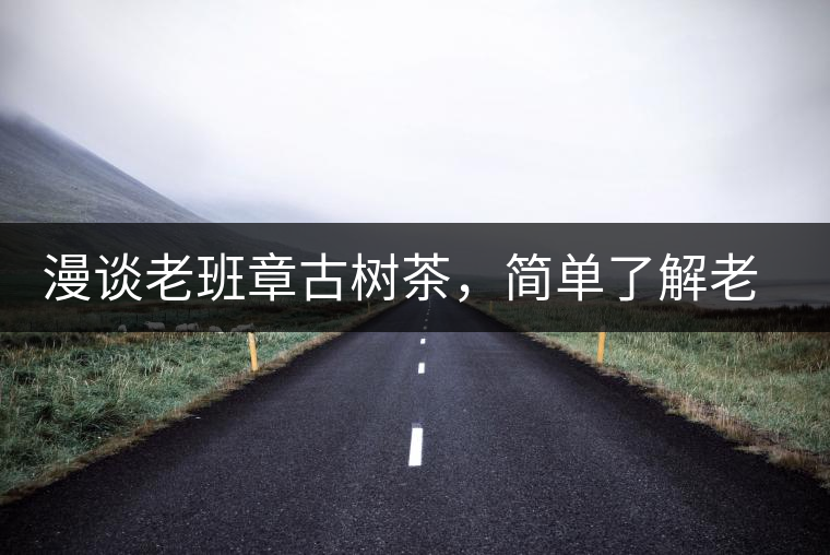 漫談老班章古樹茶，簡單了解老班章普洱茶