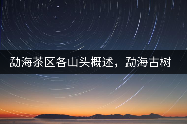 勐海茶區(qū)各山頭概述，勐海古樹(shù)茶口感特點(diǎn)