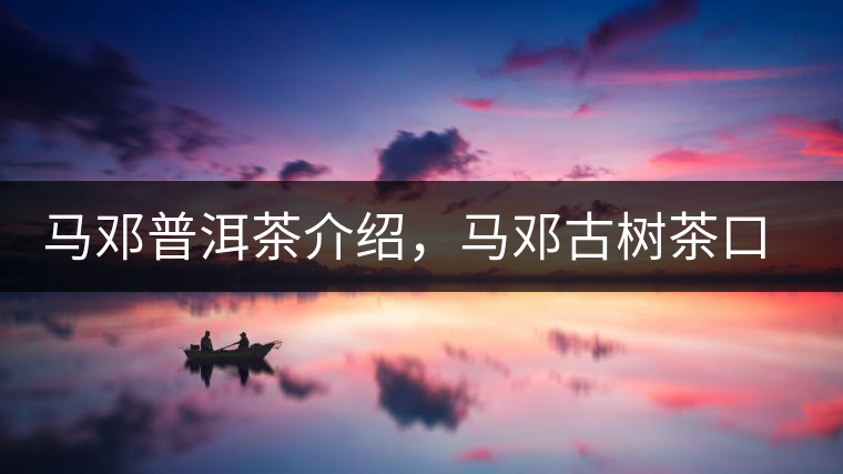 馬鄧普洱茶介紹，馬鄧古樹茶口感特點(diǎn)