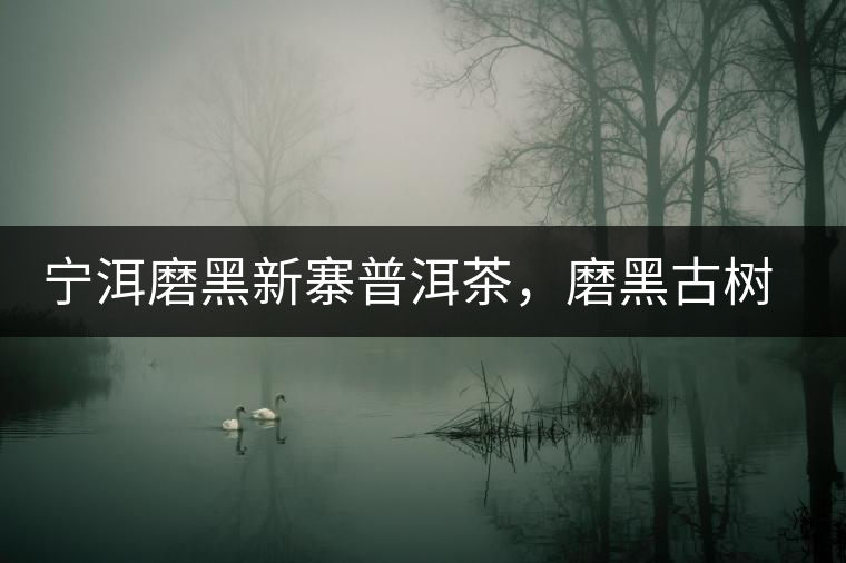 寧洱磨黑新寨普洱茶，磨黑古樹(shù)茶口感特點(diǎn)