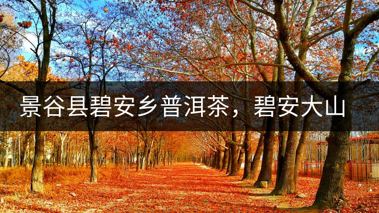 景谷縣碧安鄉(xiāng)普洱茶，碧安大山古樹茶口感特點