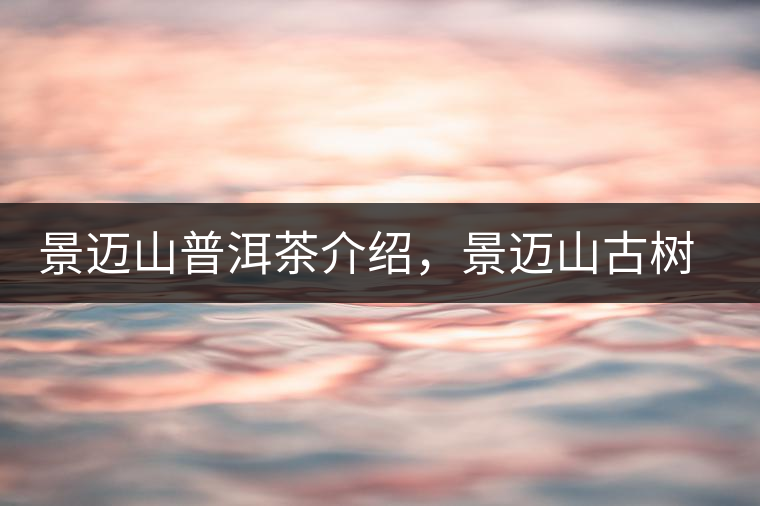 景邁山普洱茶介紹，景邁山古樹(shù)茶口感特點(diǎn)