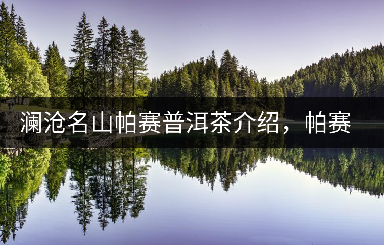 瀾滄名山帕賽普洱茶介紹，帕賽古樹茶口感特點