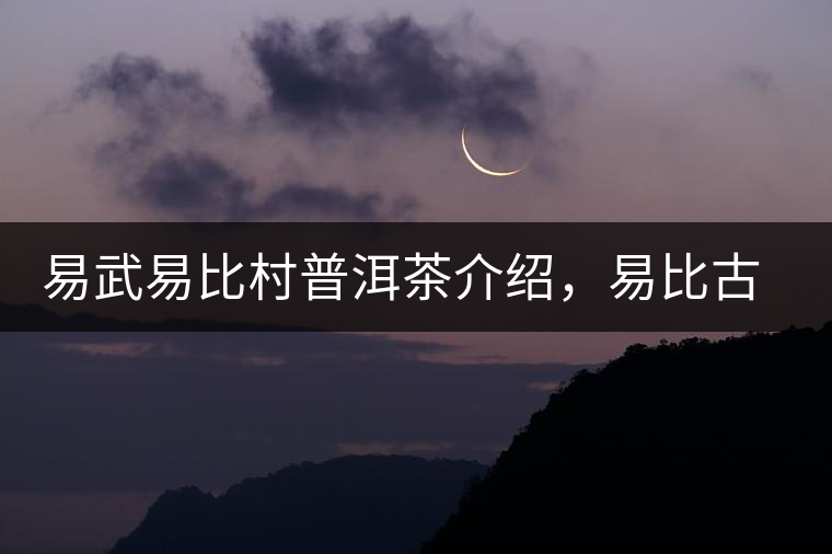 易武易比村普洱茶介紹，易比古樹茶口感特點(diǎn)