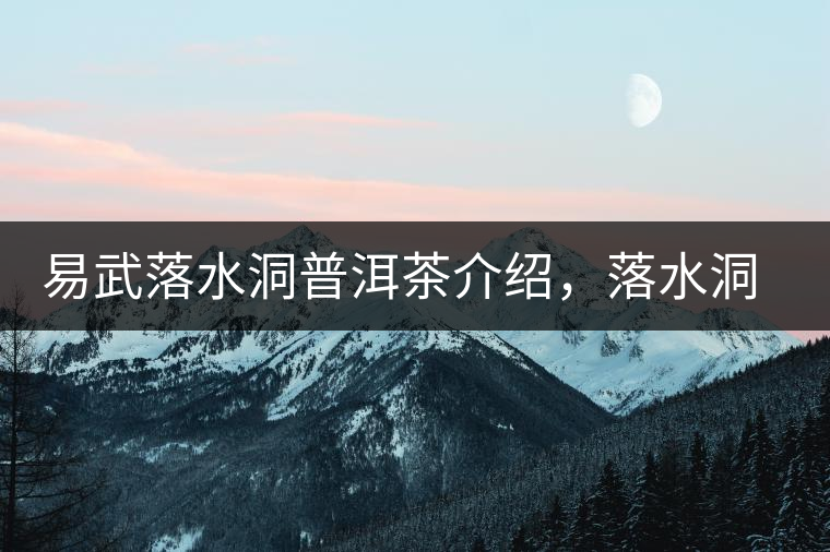 易武落水洞普洱茶介紹，落水洞古樹茶口感特點