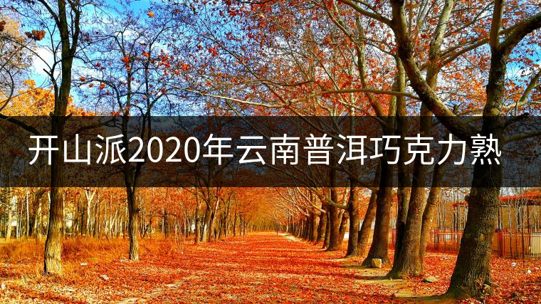 開山派2020年云南普洱巧克力熟茶磚 緊壓普洱茶熟茶1片裝50g 開山派2020年云南普洱巧克力熟茶磚 緊壓普洱茶熟茶1片裝50g