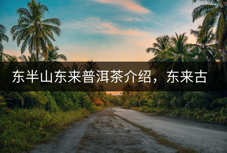 東半山東來普洱茶介紹，東來古樹茶口感特點(diǎn)