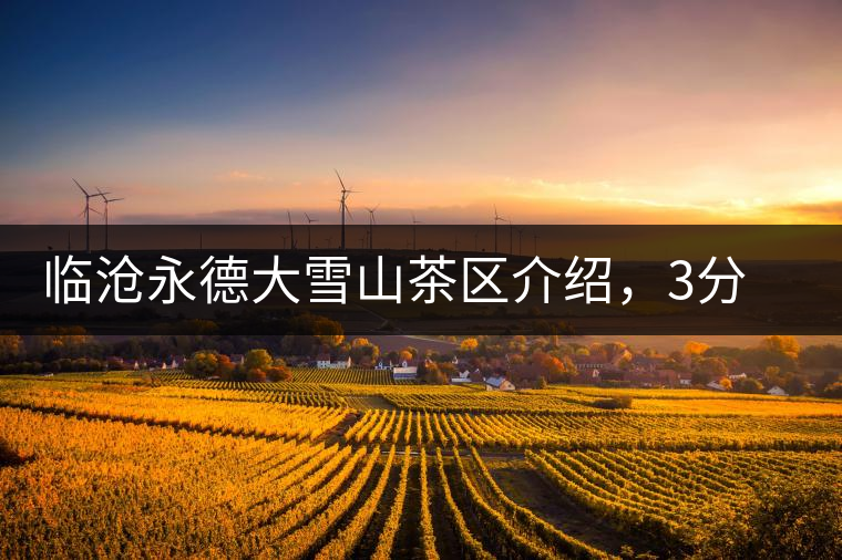 臨滄永德大雪山茶區(qū)介紹，3分鐘了解永德大雪山古樹茶