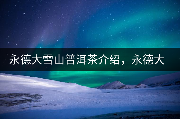 永德大雪山普洱茶介紹，永德大雪山古樹茶口感特點