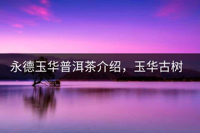 永德玉華普洱茶介紹，玉華古樹茶口感特點