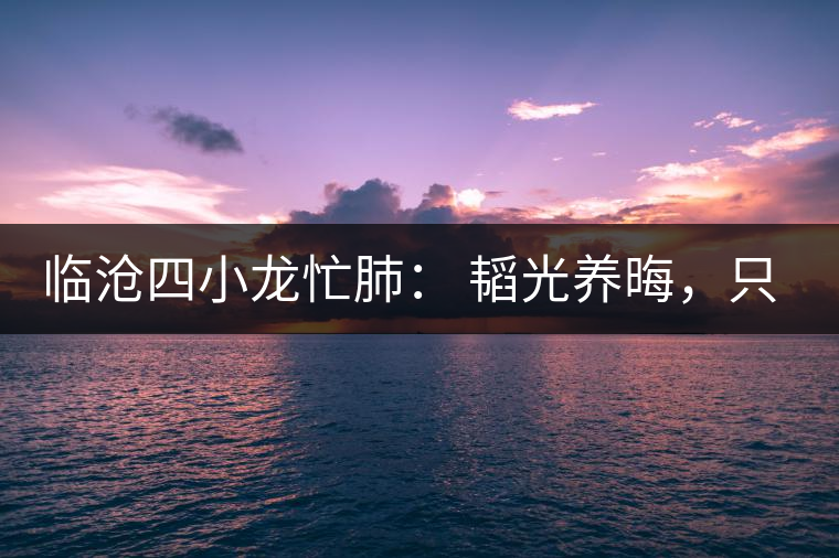臨滄四小龍忙肺： 韜光養(yǎng)晦，只為綻放！