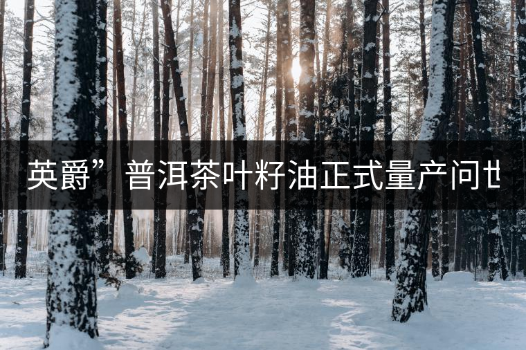 英爵”普洱茶葉籽油正式量產(chǎn)問(wèn)世。