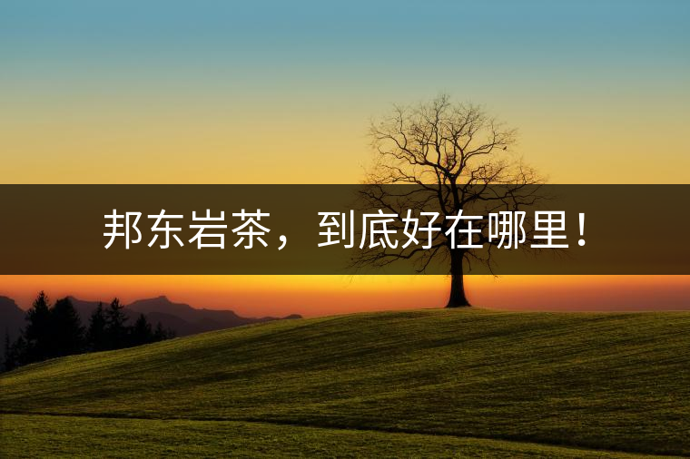 邦東巖茶，到底好在哪里！