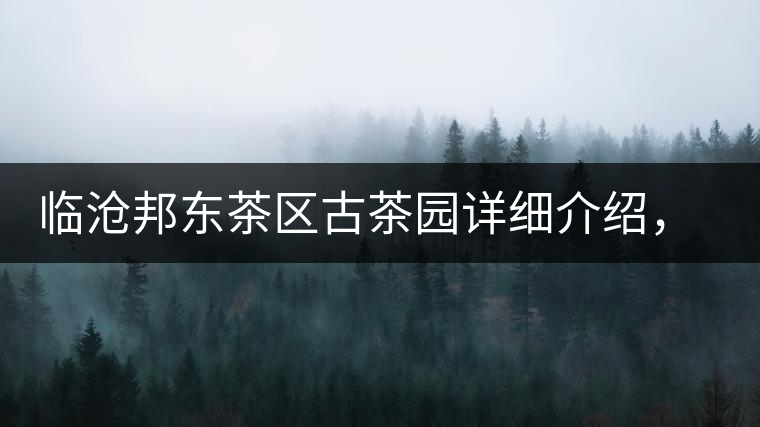臨滄邦東茶區(qū)古茶園詳細(xì)介紹，邦東古樹茶特點