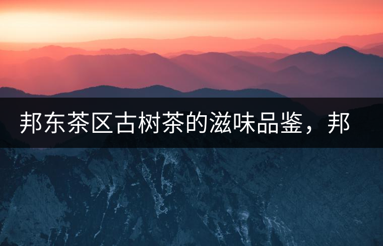 邦東茶區(qū)古樹茶的滋味品鑒，邦東普洱茶特點(diǎn)