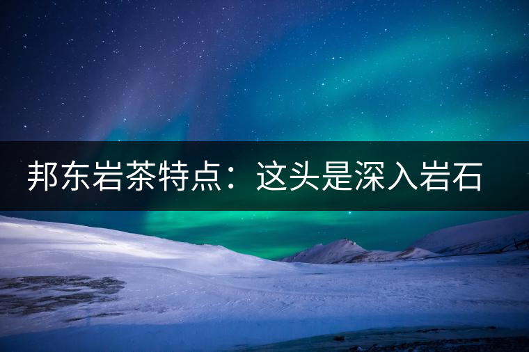 邦東巖茶特點：這頭是深入巖石的根，那頭是臨風飄香的古韻