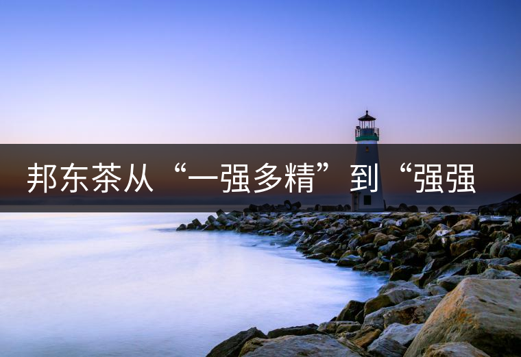 邦東茶從“一強(qiáng)多精”到“強(qiáng)強(qiáng)聯(lián)手”，是山頭茶未來的發(fā)展格局！