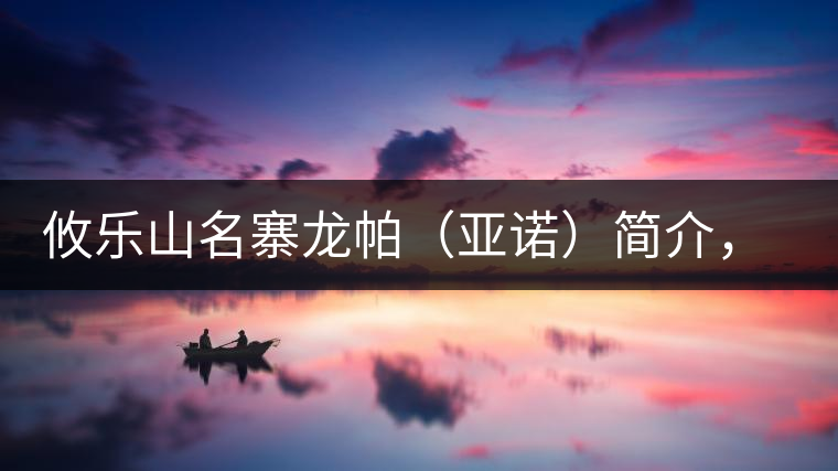 攸樂山名寨龍帕（亞諾）簡(jiǎn)介，亞諾古樹茶特點(diǎn)