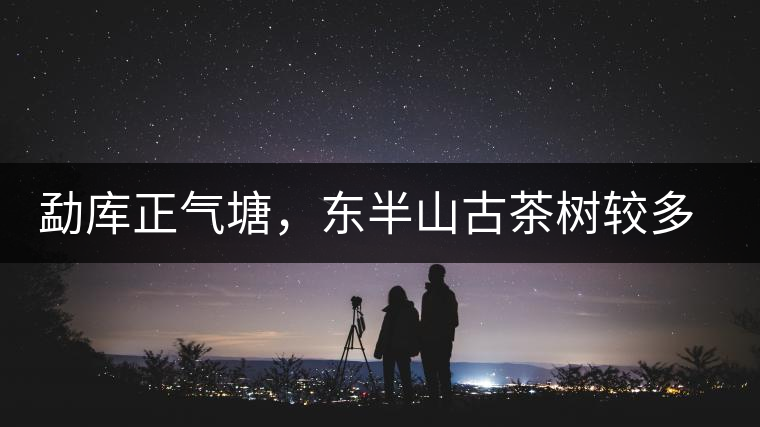 勐庫正氣塘，東半山古茶樹較多的寨子