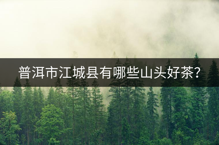 普洱市江城縣有哪些山頭好茶？