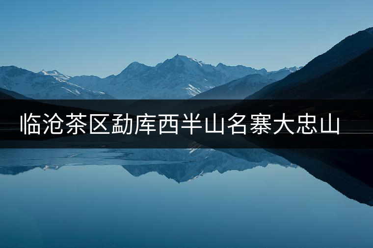 臨滄茶區(qū)勐庫(kù)西半山名寨大忠山普洱茶介紹 臨滄茶區(qū)勐庫(kù)西半山名寨大忠山普洱茶介紹