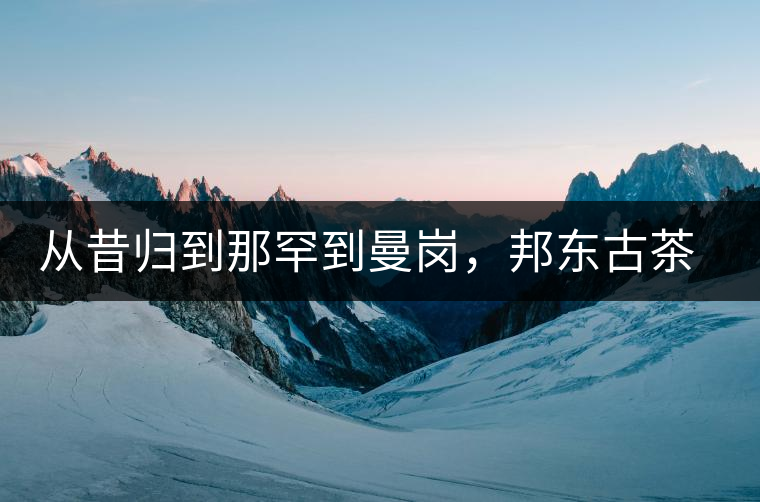 從昔歸到那罕到曼崗，邦東古茶藏著一條規(guī)律！