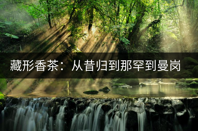 藏形香茶：從昔歸到那罕到曼崗，邦東古茶藏著一條規(guī)律！