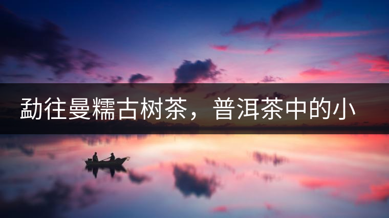 勐往曼糯古樹(shù)茶，普洱茶中的小班章