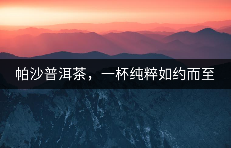 帕沙普洱茶，一杯純粹如約而至