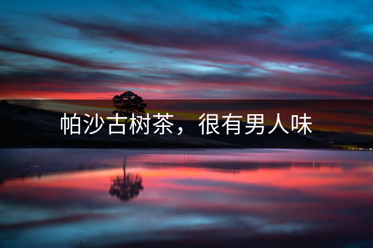 帕沙古樹茶，很有男人味