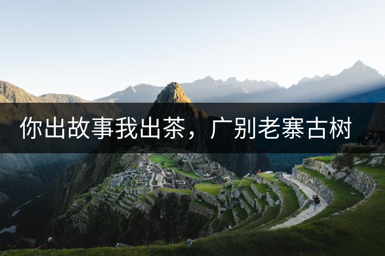 你出故事我出茶，廣別老寨古樹妖茶