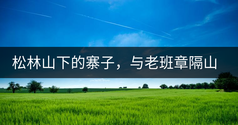 松林山下的寨子，與老班章隔山相望的廣別老寨