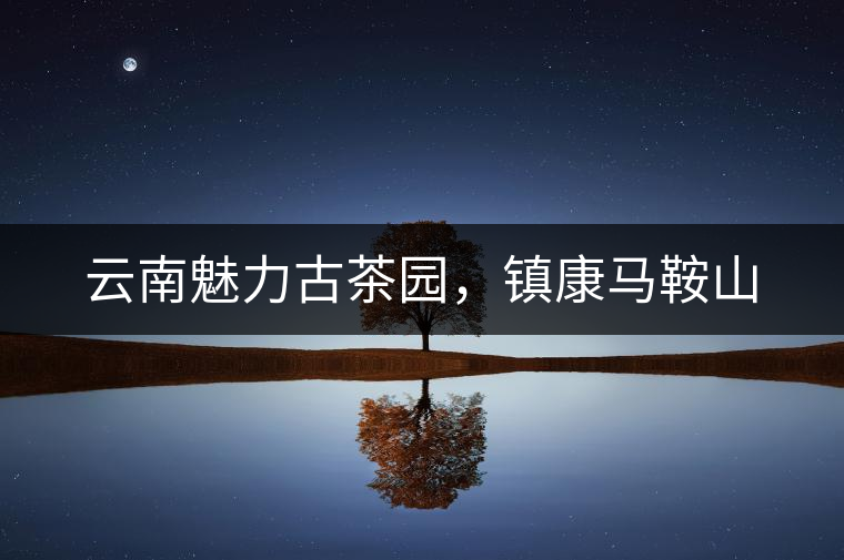 云南魅力古茶園，鎮(zhèn)康馬鞍山