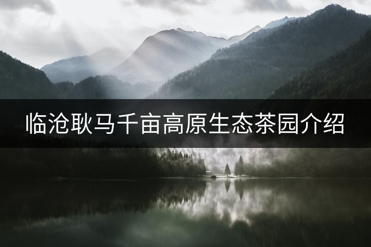 臨滄耿馬千畝高原生態(tài)茶園介紹 臨滄耿馬千畝高原生態(tài)茶園介紹