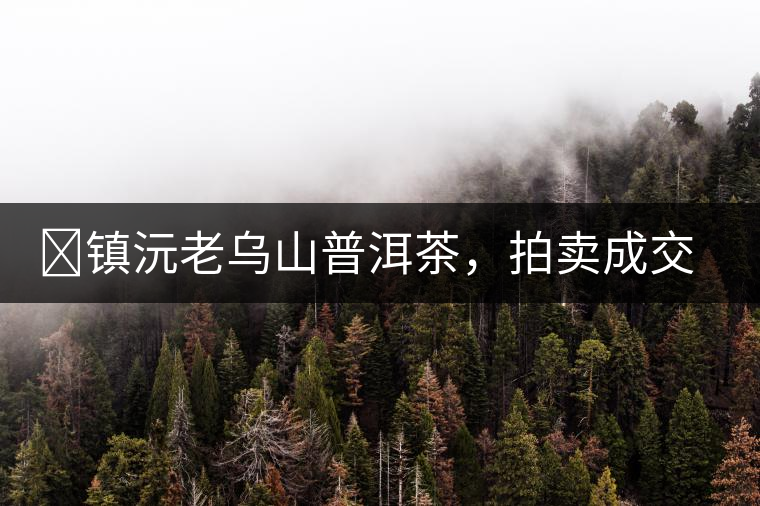 ?鎮(zhèn)沅老烏山普洱茶，拍賣成交價再創(chuàng)新高