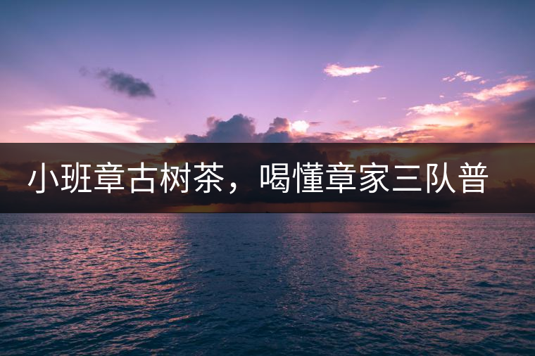 小班章古樹茶，喝懂章家三隊(duì)普洱茶