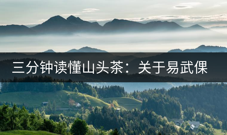 三分鐘讀懂山頭茶:關(guān)于易武倮德普洱茶 三分鐘讀懂山頭茶:關(guān)于易武倮德普洱茶