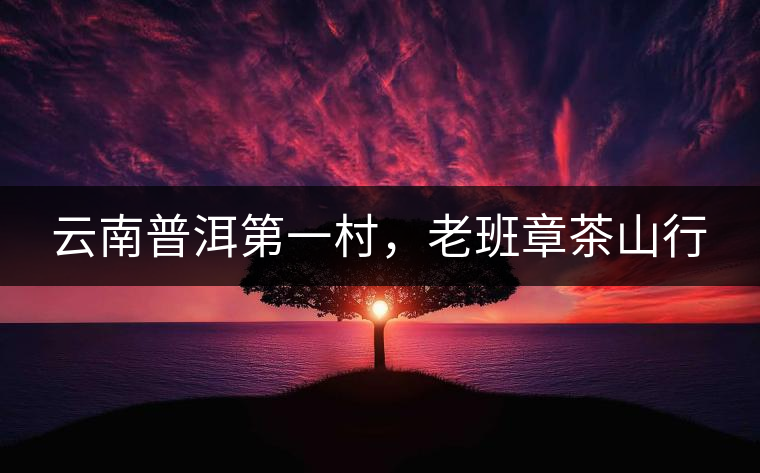 云南普洱第一村，老班章茶山行