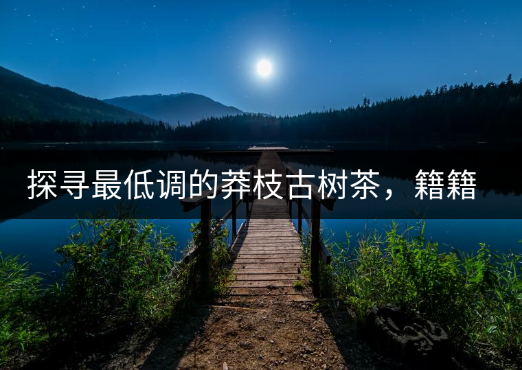 探尋最低調(diào)的莽枝古樹茶，籍籍無名出好茶