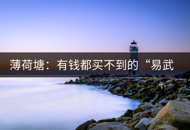 薄荷塘：有錢都買不到的“易武貴胄”，卓爾不群，無茶可及