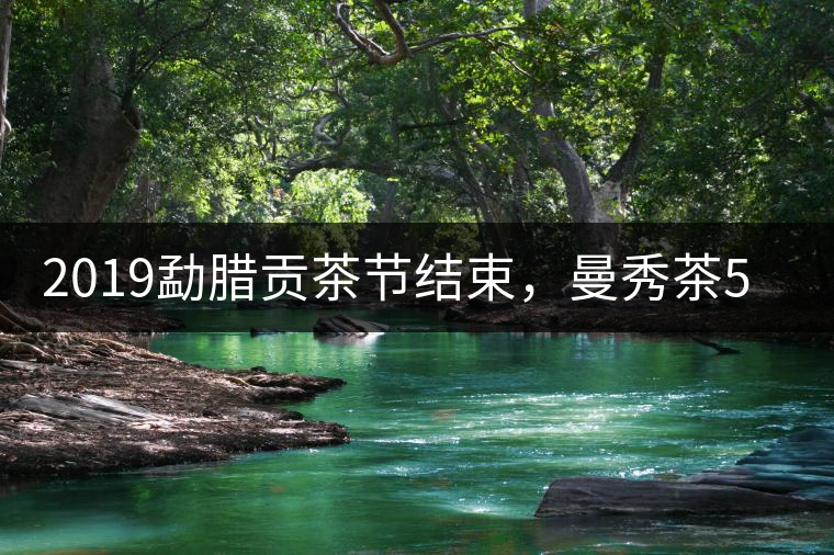 2019勐臘貢茶節(jié)結(jié)束，曼秀茶5公斤107萬(wàn)奪得金獎(jiǎng)