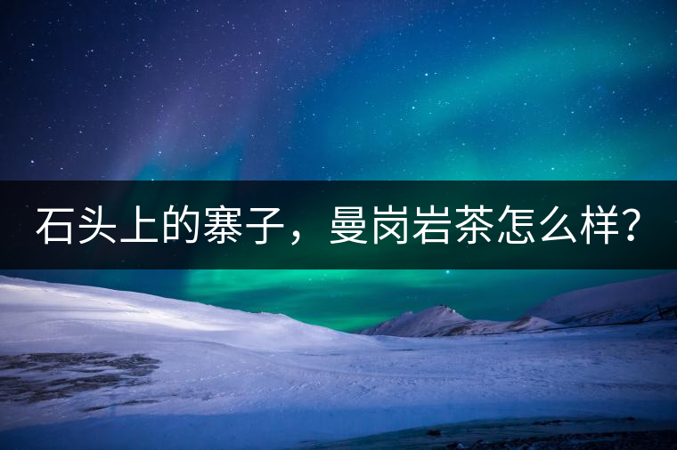 石頭上的寨子，曼崗巖茶怎么樣？