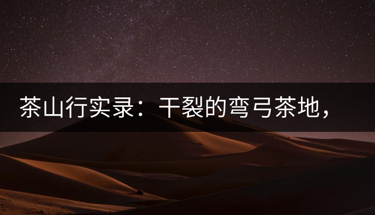 茶山行實錄：干裂的彎弓茶地，干旱減產(chǎn)已成定局