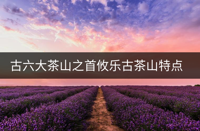 古六大茶山之首攸樂(lè)古茶山特點(diǎn)介紹